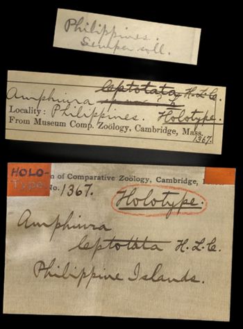 Media type: image;   Invertebrate Zoology OPH-1367 Description: A photo of labels included with this specimen;  Aspect: labels